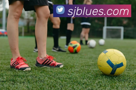 开云APP 高清赛事图